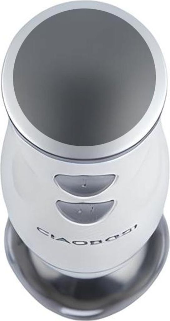 Avizar, Multifunktions-Stabmixer 300 W mit Edelstahl-Mixfuß, Weiß