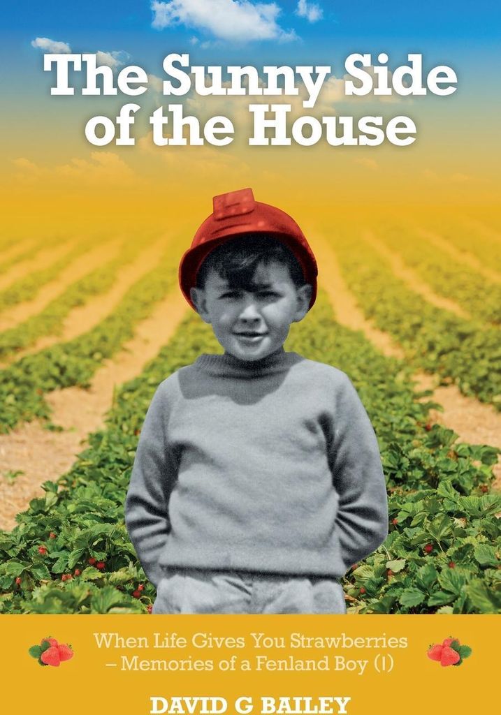 The Sunny Side of the House