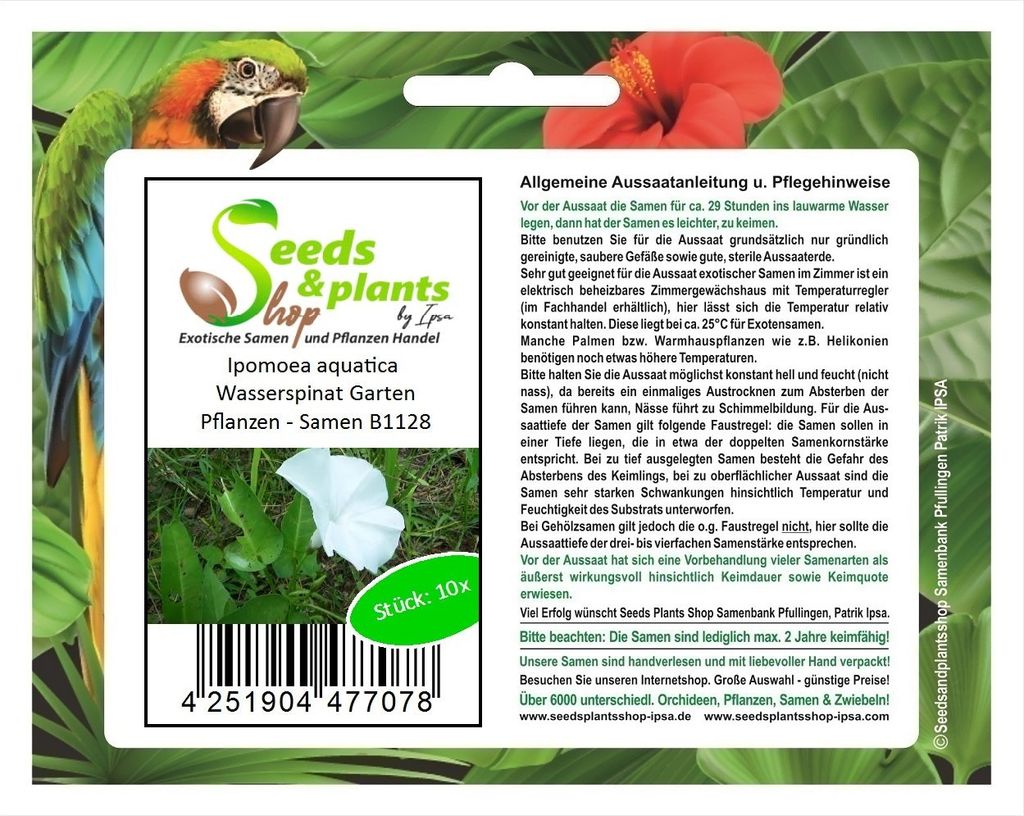 10x Ipomoea aquatica Wasserspinat Garten Pflanzen - Samen B1128