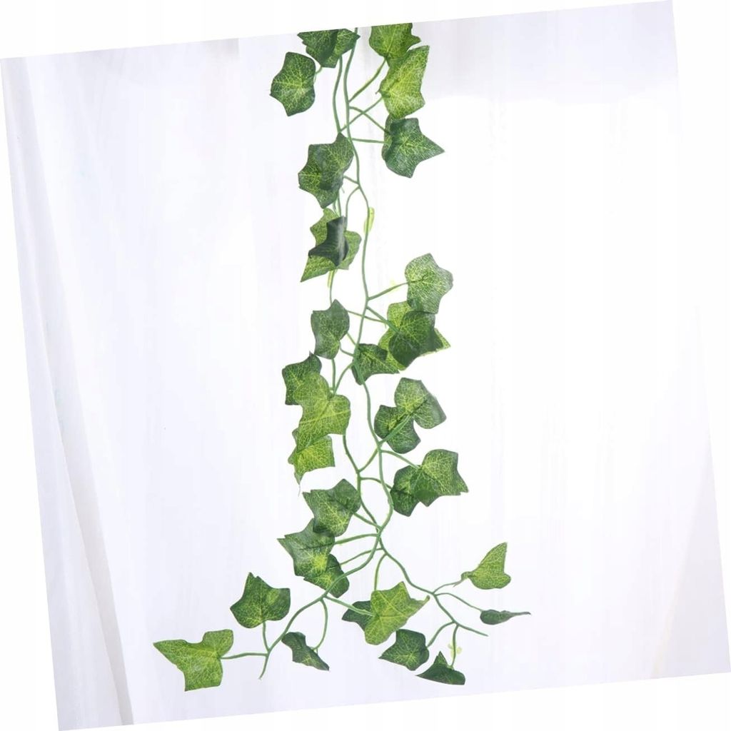 mini farn terrarium Flaschengarten Emma Ø23cm ↕25cm im Glas Gartenpflanze kaufen main image 1