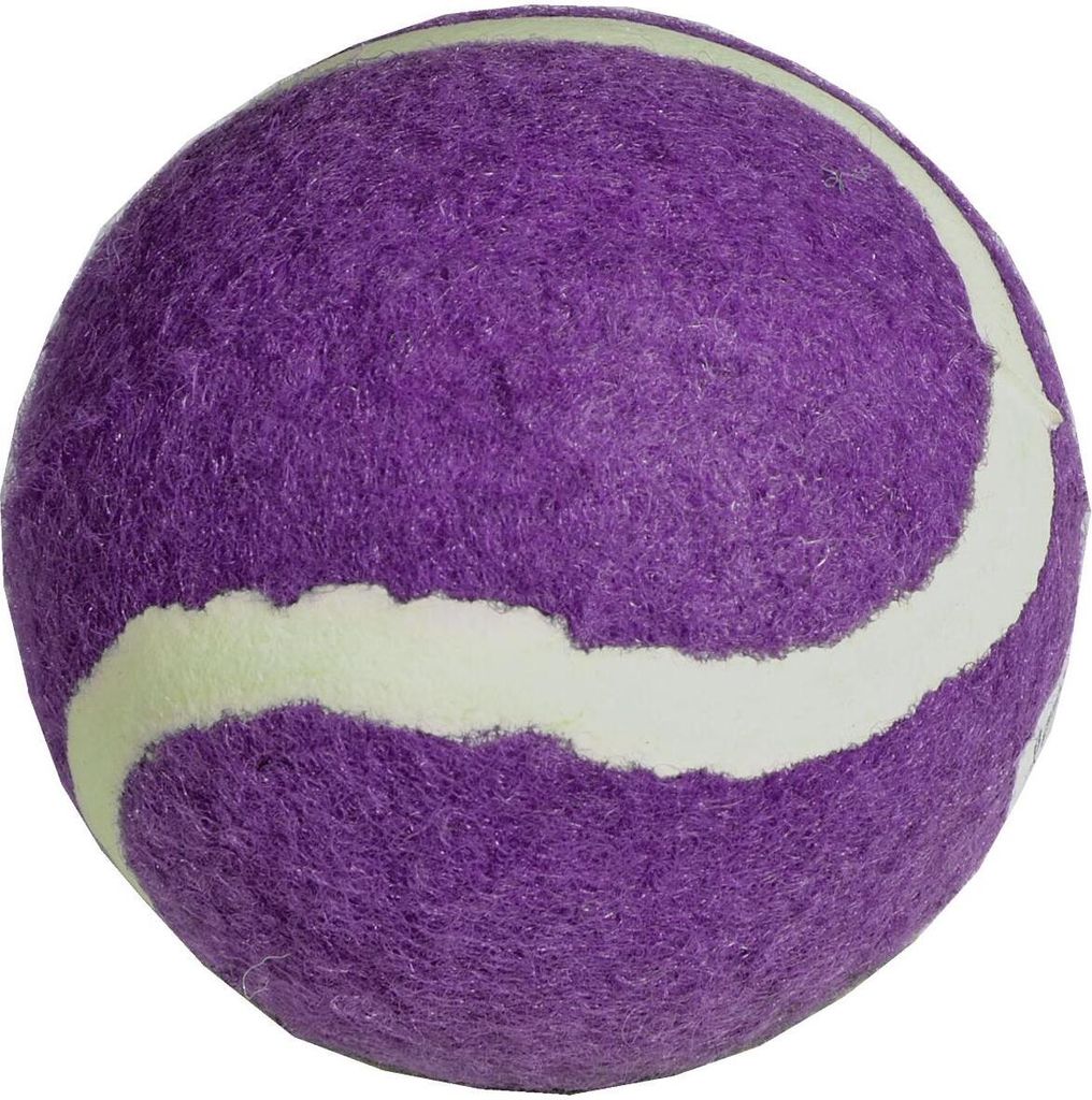 Pallina da tennis ENERO 1 pezzo - viola Immagine del prodotto 