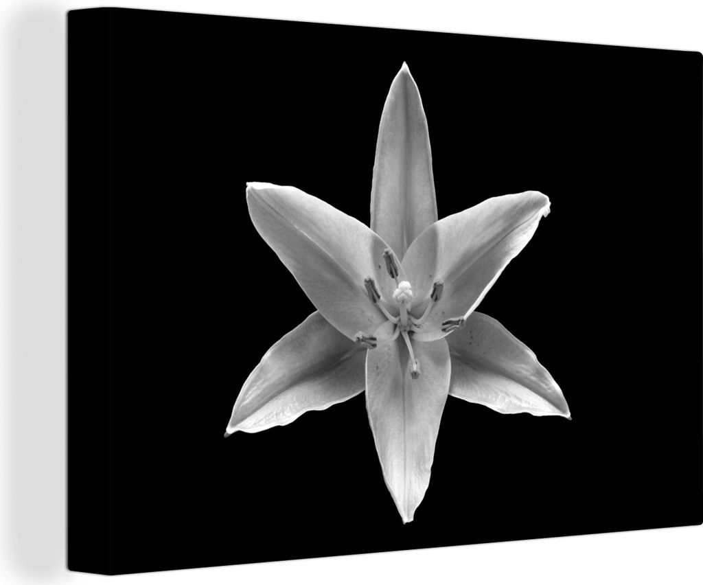 OneMillionCanvasses - Leinwandbilder - 140x90 cm, Stern - Lilie - Schwarz - Weiß, Wandbilder Kunstdruck Wanddekoration