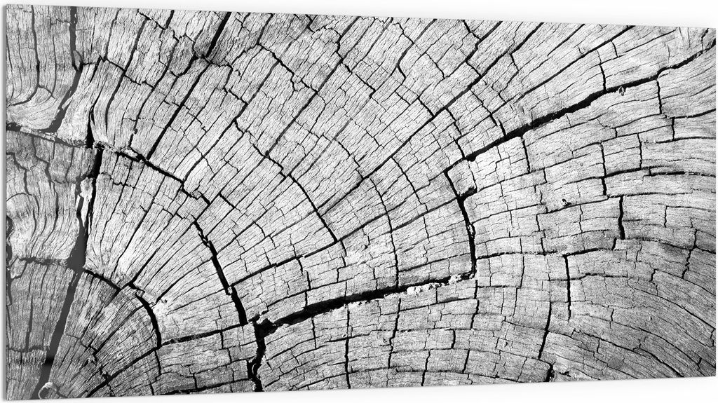 DEQORI Küchenrückwand Glas 100x50 cm 'Gealterte Holzstruktur' Spritzschutz Bad Rückwand