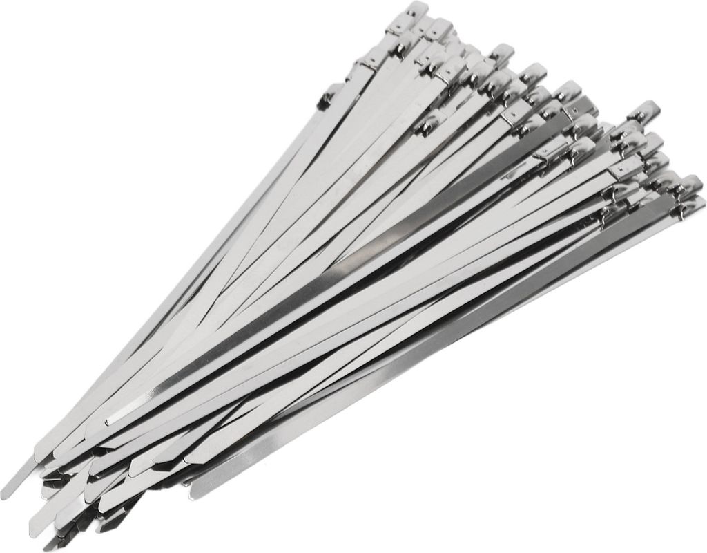 200 Stück Edelstahl Kabelbinder 4.6mm Breite Schlauch Zip Tie Selbstverriegelung Set Kit für Wire Line