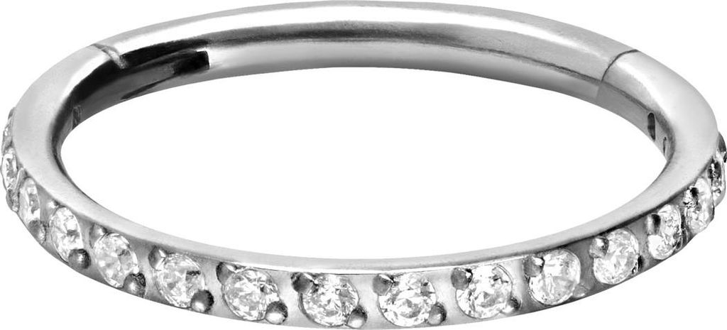 Ohrpiercing, Nasenpiercing, Septum Piercing Titan Segmentring Clicker EINGEFASSTE KRISTALLE Silber Innendurchmesser: 10mm + Stabstärke: 1,2mm