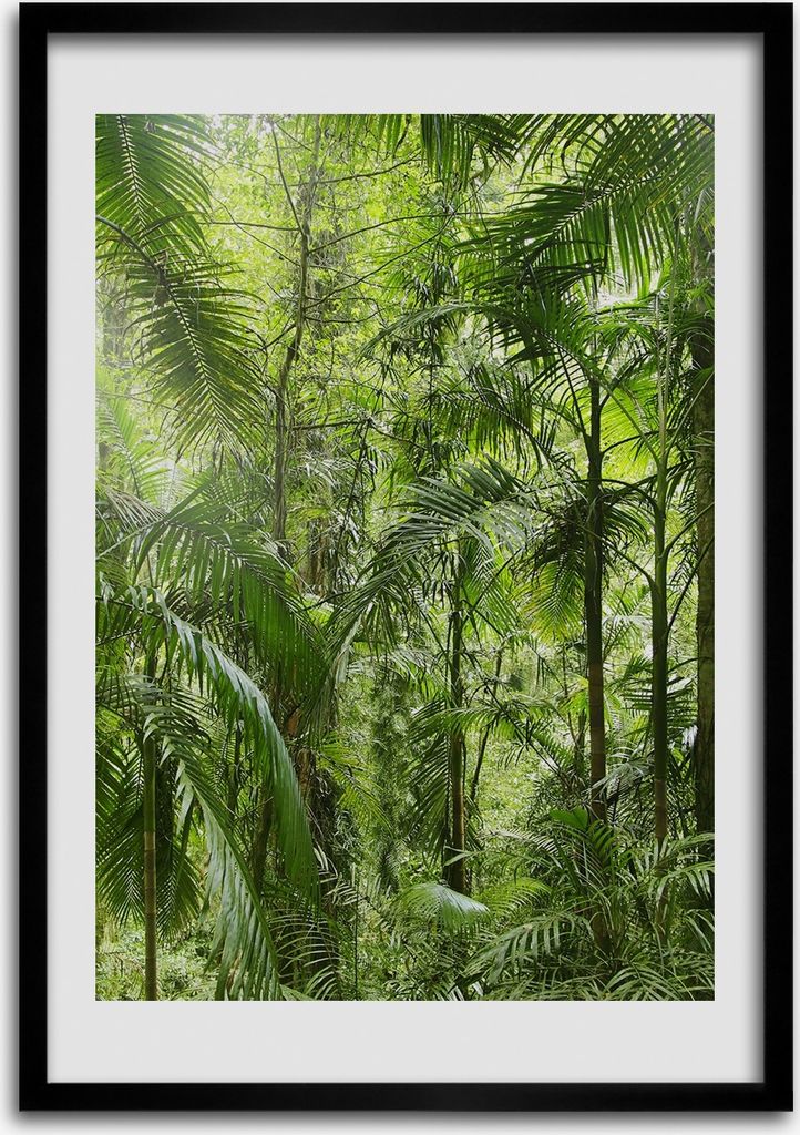 Bild - Bilderrahmen - 50 cm x 70 cm - MDF - Rahmen - Wandkunst Regenwald