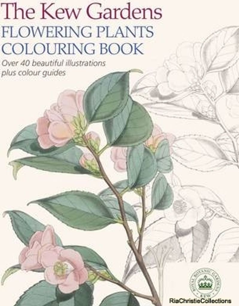 Kew Gardens Flowering Plants Colouring Book