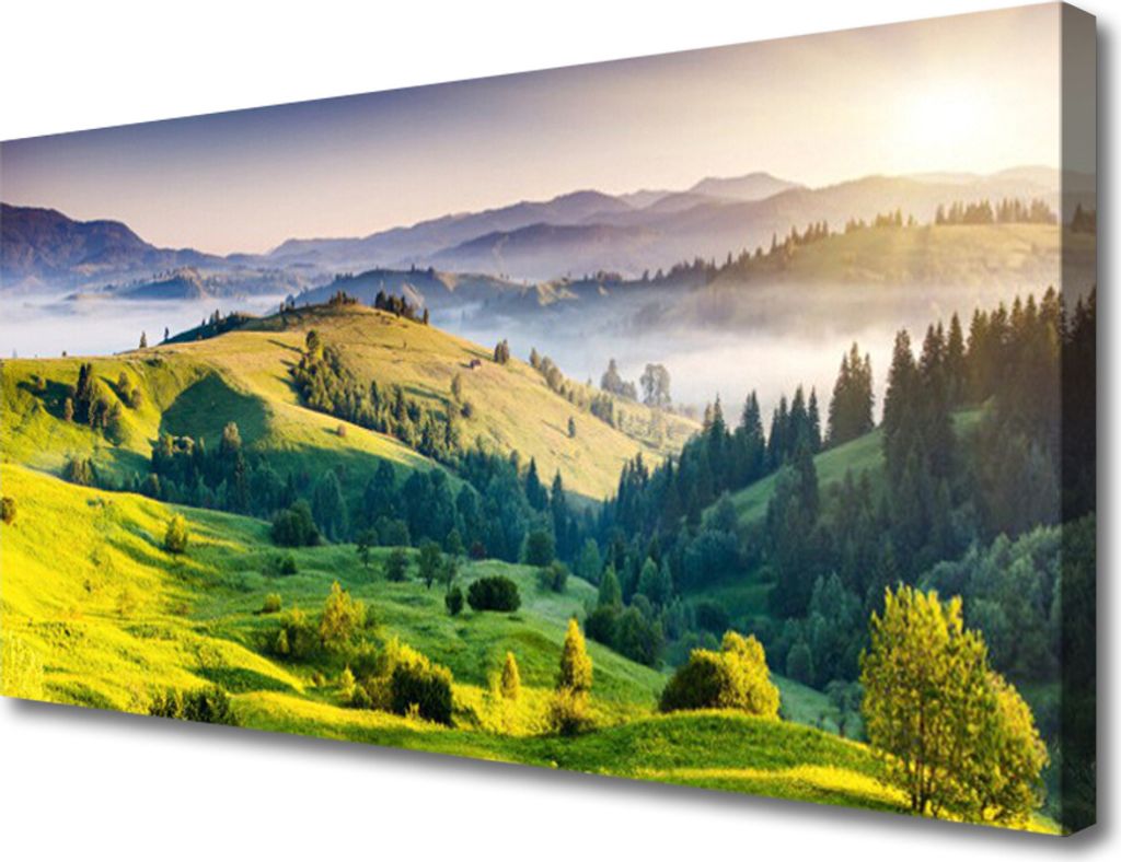 Tulup Leinwand-Bilder 100x50 Wandbild Canvas Kunstdruck Gebirge Feld Wald Nebel Natur