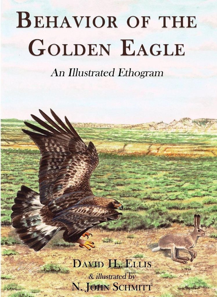 Behavior of the Golden Eagle