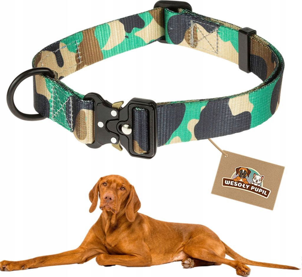 Mittelgroßes Hundehalsband POWERFUL METAL Schnalle verstellbar M 46-55cm