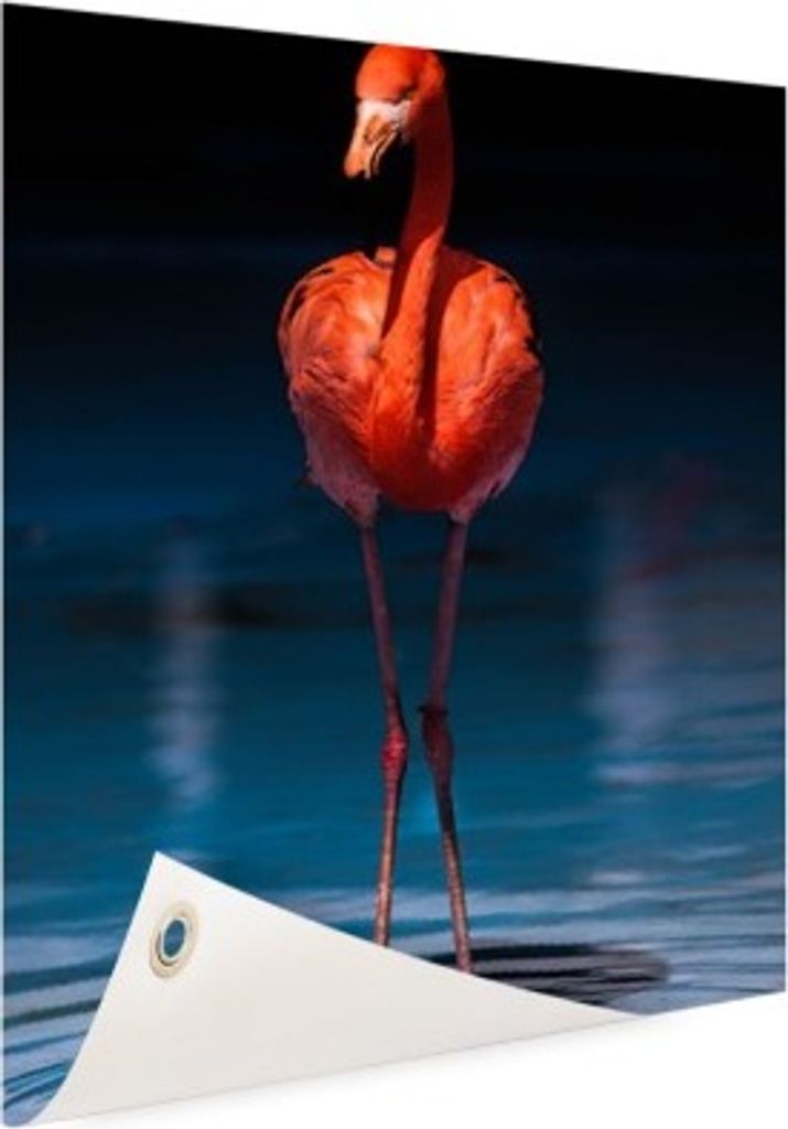 Gartenposter - 80x120 cm - Flamingo dunkler Hintergrund - Modernes Wandbilder