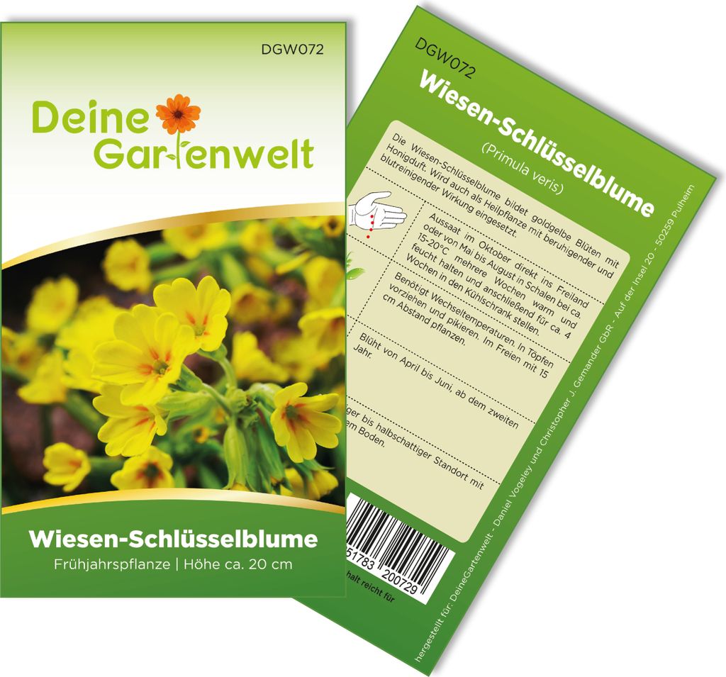 Wiesen-Schlüsselblume Samen - Primula veris - Wiesen-Schlüsselblumensamen - Blumensamen - Saatgut für 25 Pflanzen
