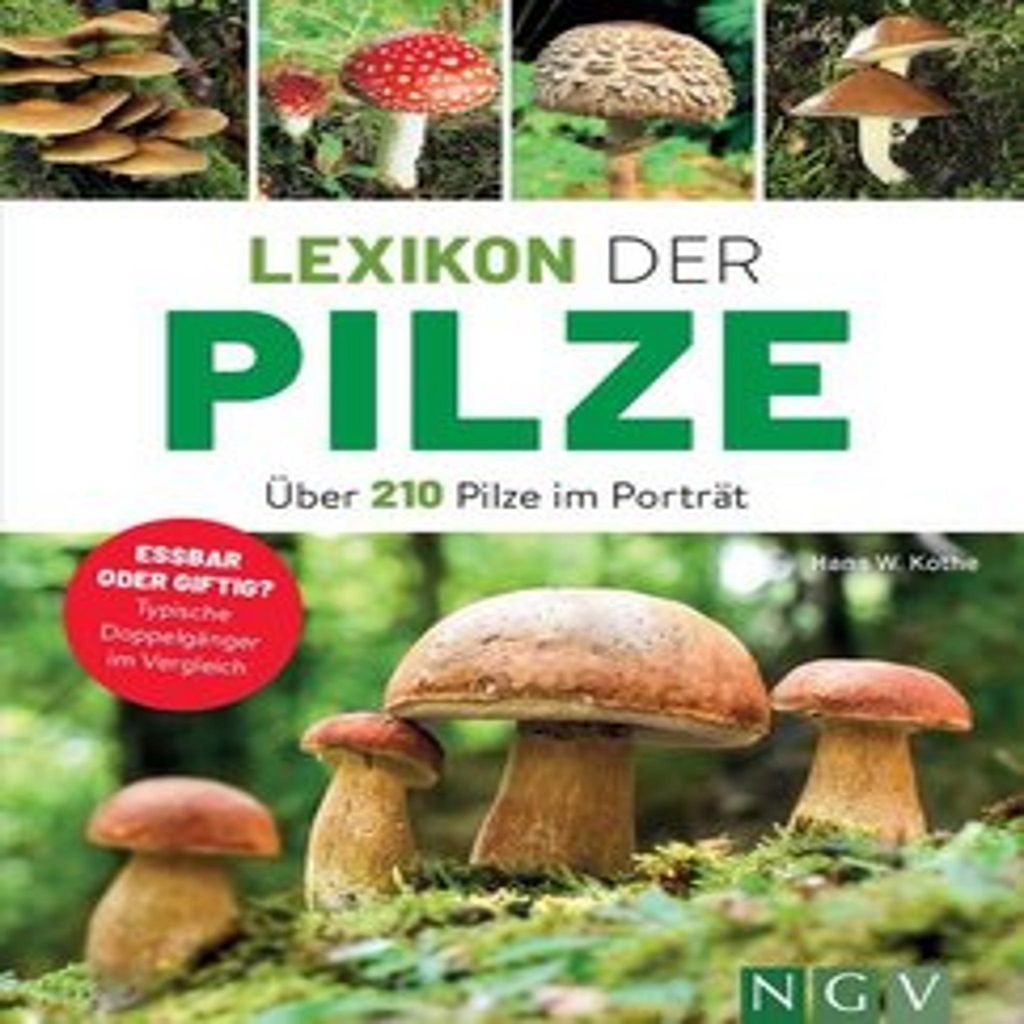 Lexikon der Pilze - Über 210 Pilze im Porträt Zdjęcie produktu 