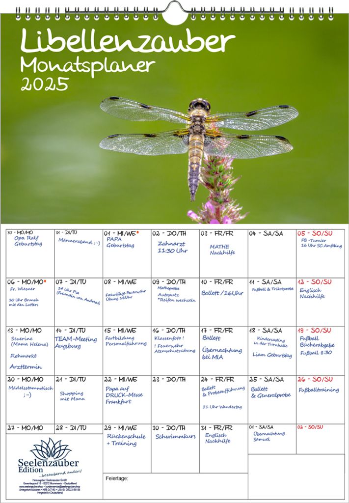 Libellenzauber Planer DIN A3 Kalender für 2025 - Seelenzauber