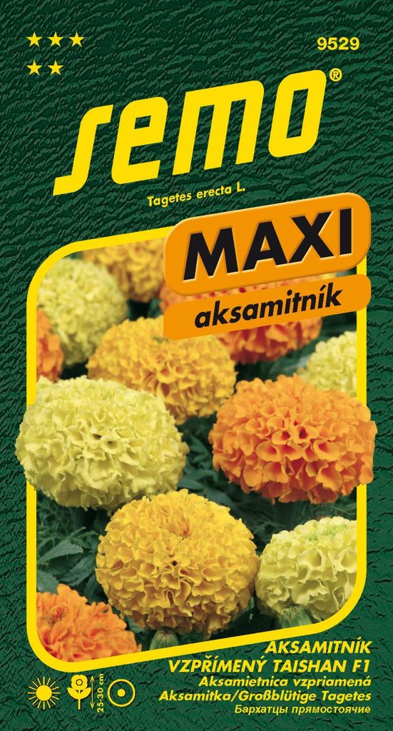 Semo Velvetleaf - Taishan F1 15s - Maxi-Serie