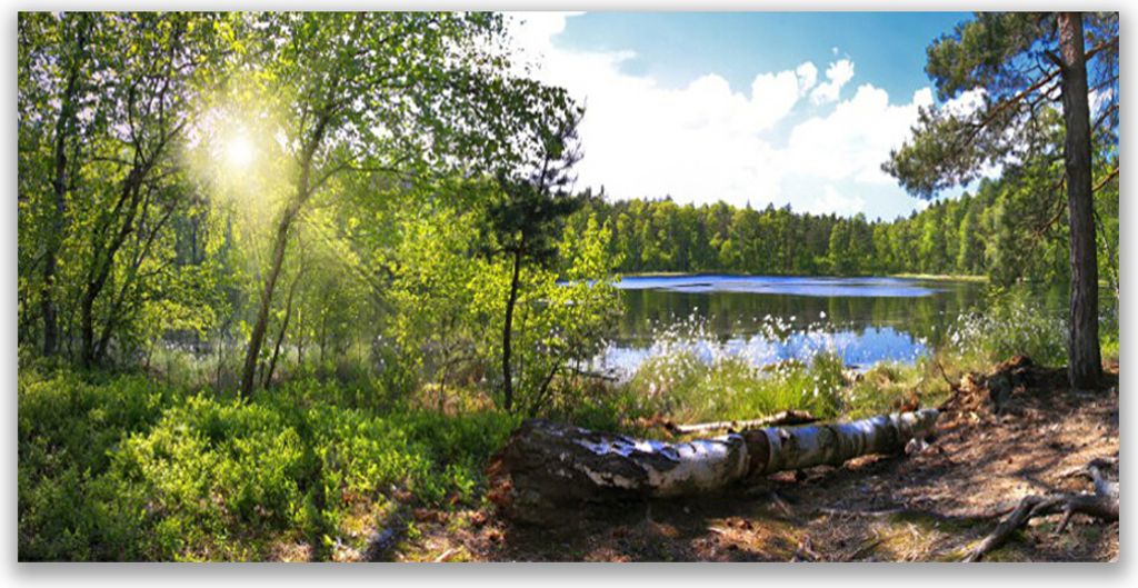 Glasbilder 120x60 Wandbild Druck auf Glas Wald See Natur