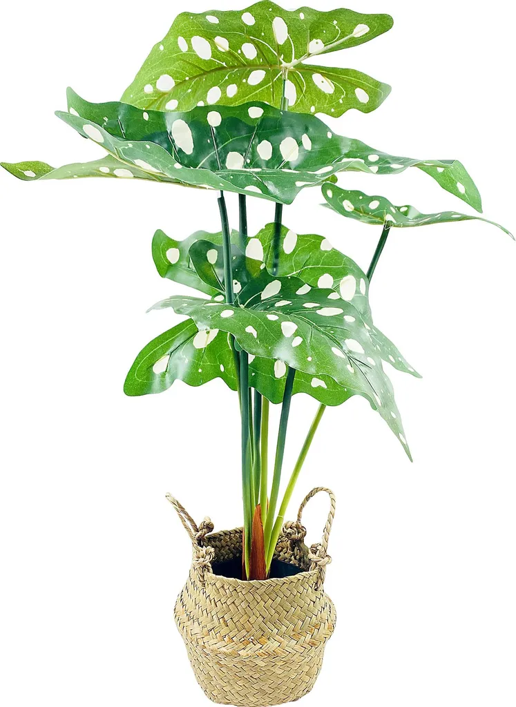 Plante artificielle Alocasia 51 cm avec panier - Déco végétale maison