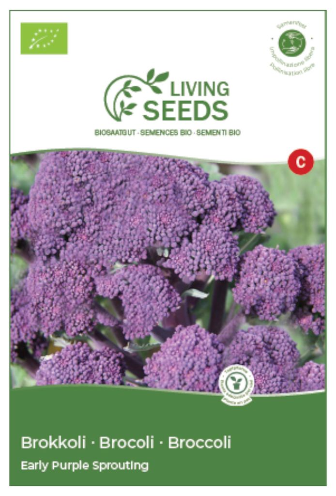 Broccoli Early Purple Sprouting 4.1g Saatgut von Living Produktbild 