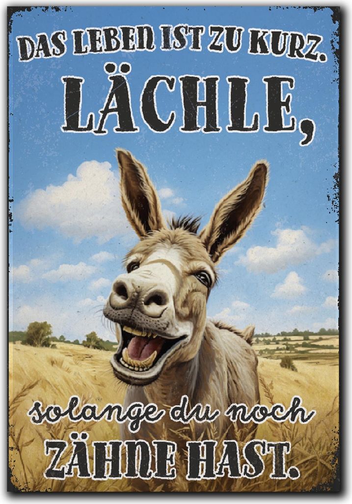 LANOLU Kühlschrankmagnete lustig- Lächle, so lange du Zähne Produktbild 