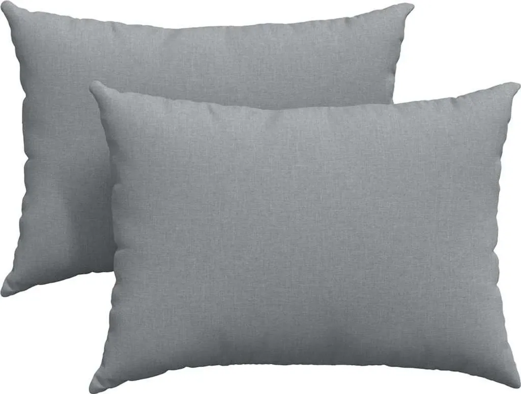 Lot de 2 Coussins de Salon Gris Clair 70x50 cm pour Confort de Canapé