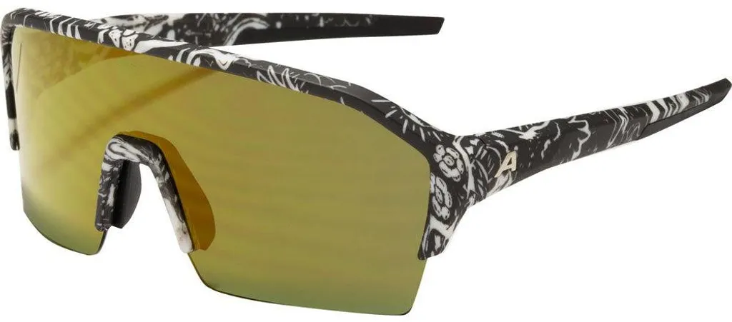 Alpina Ram HR Q-Lite Lunettes Sportives avec Technologie de Contraste