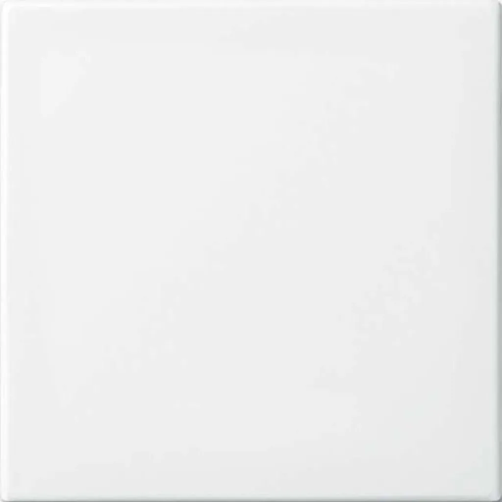 Enjoliveur bouton poussoir blanc alpin Busch-Jaeger 2546-914 pour va-et-vient