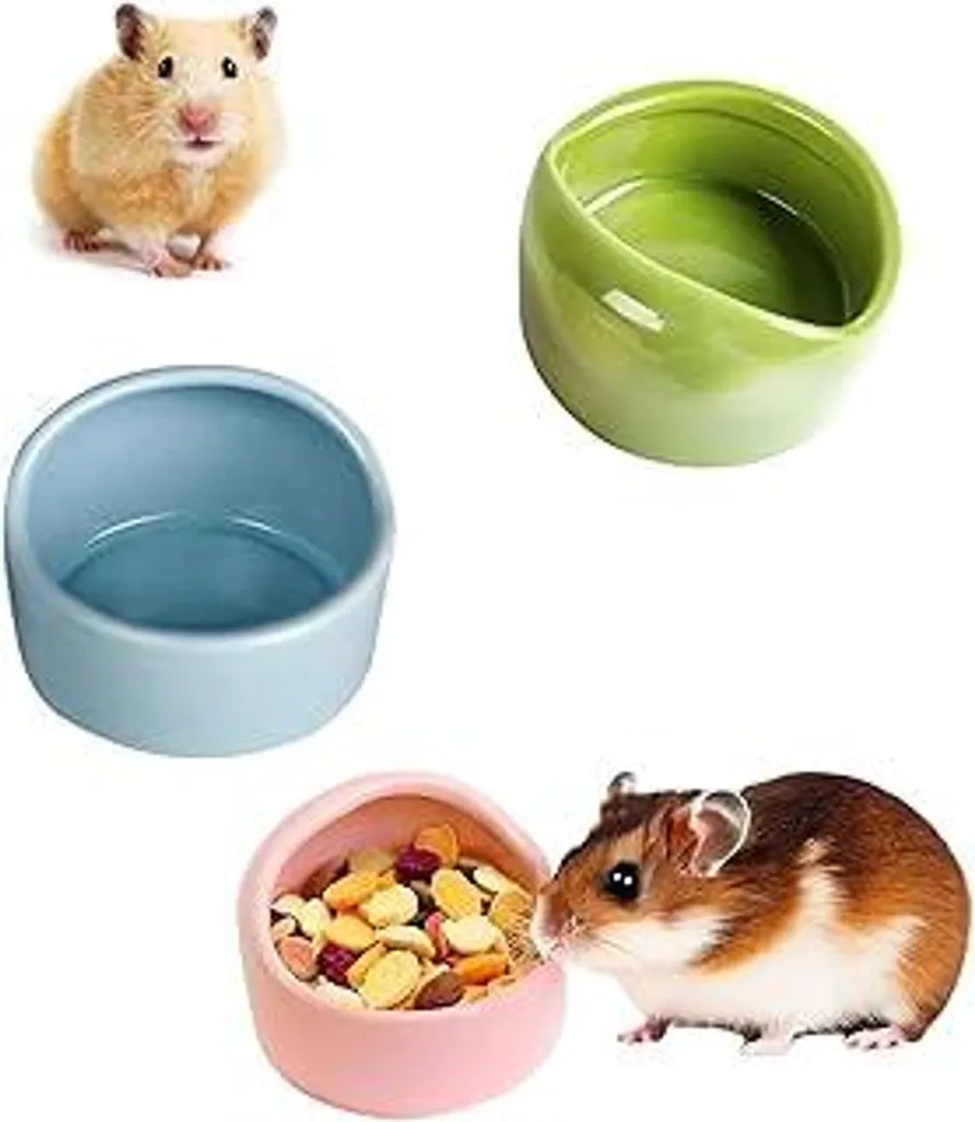 3 ciotole in Vetroceramica per criceti, ciotole piccole per animali, ciotole in Vetroceramica per piccoli animali, ciotole anti-morso, per porcellini d'India, piccoli animali domestici
