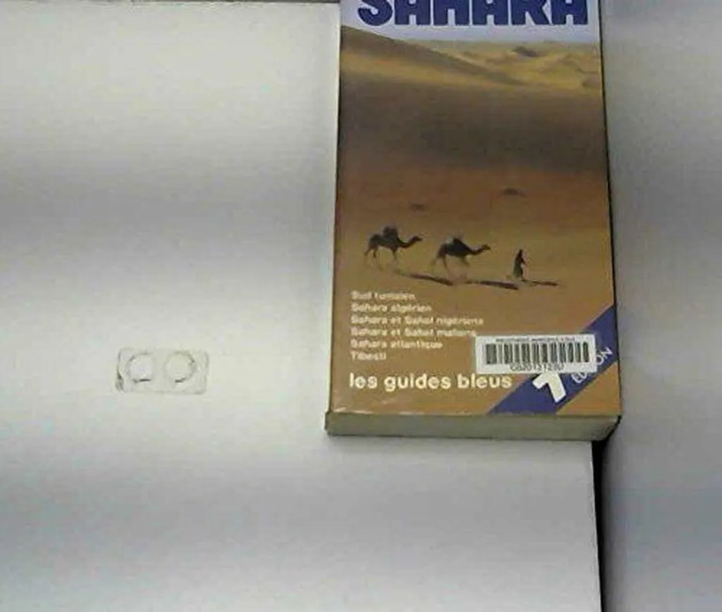 Guide de voyage Sahara et Sahel : Itinéraires Niger et Mali - Edition T