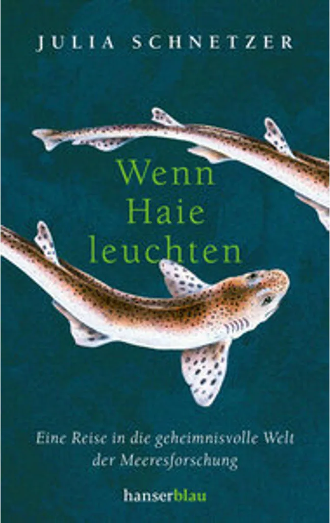 Tout savoir sur les requins avec le livre Quand les requins brillent enfin