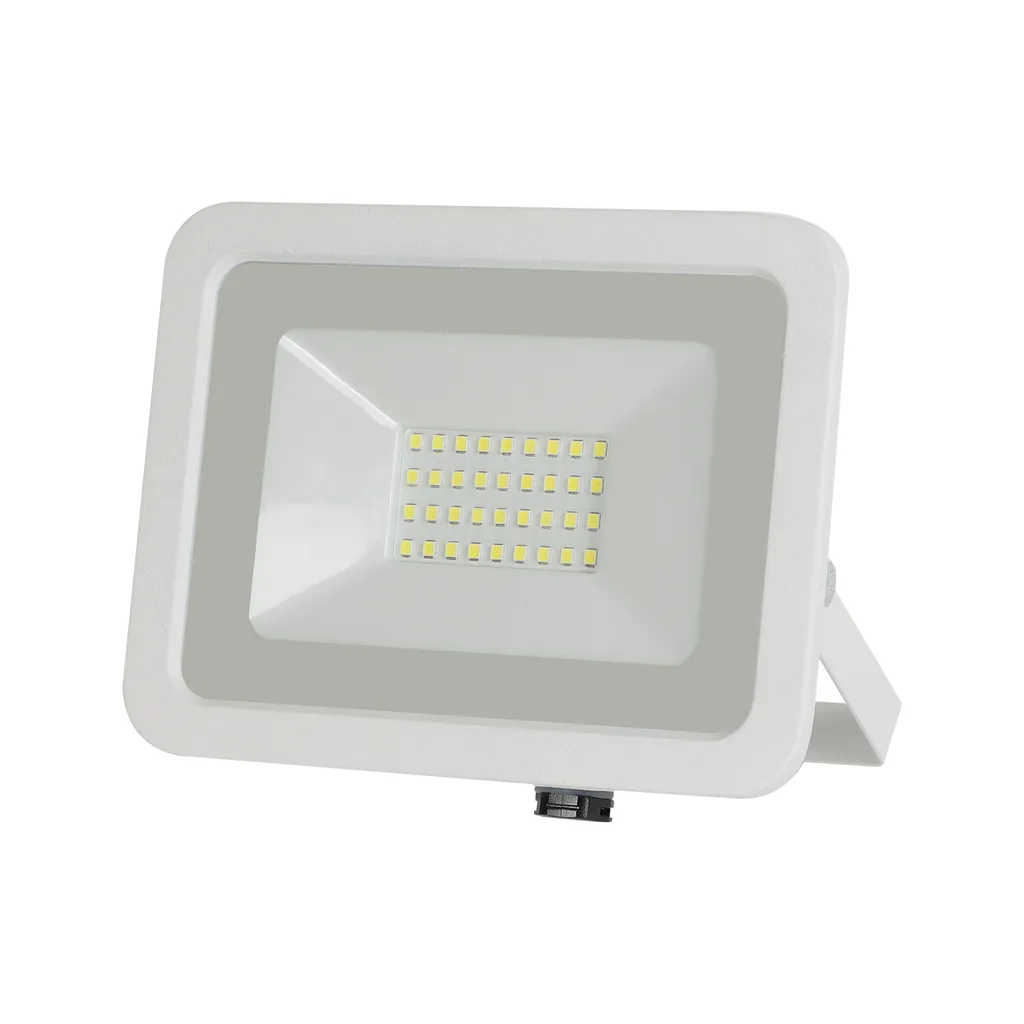 Proiettore LED Bianco 200-265VAC 30W 3000K