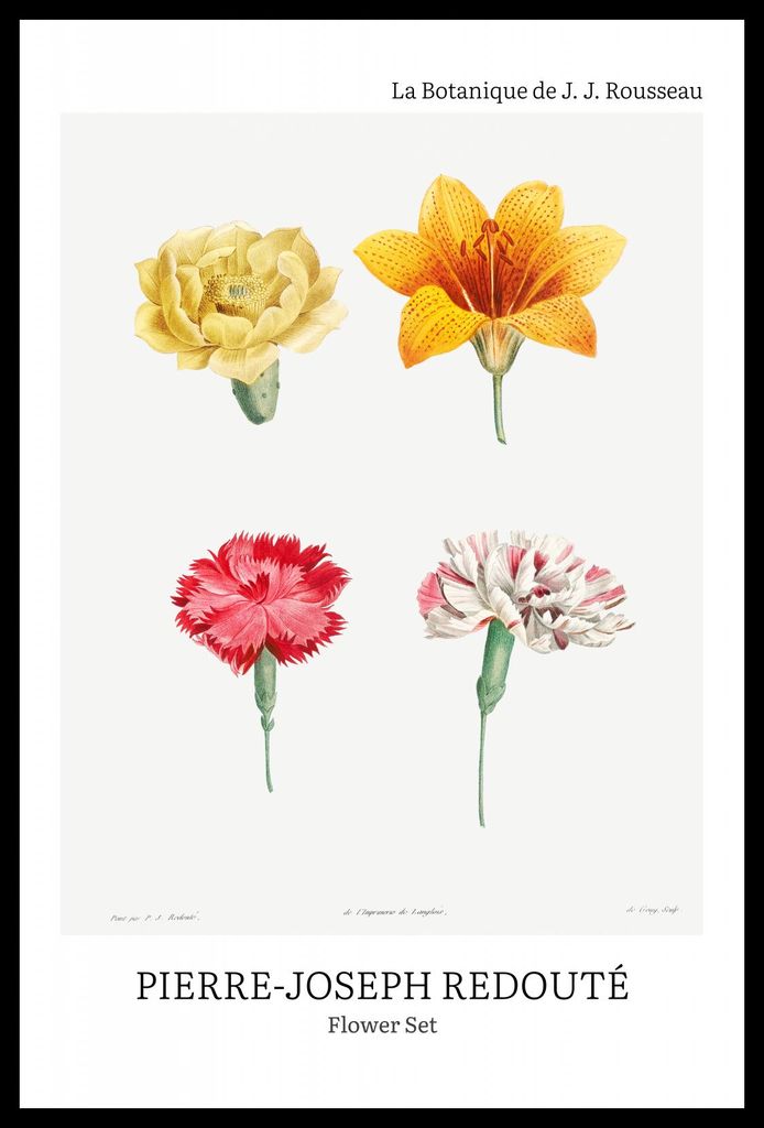 Plakat 40x60cm Design Flower Set, Redoute Vintage für das Wohnzimmer