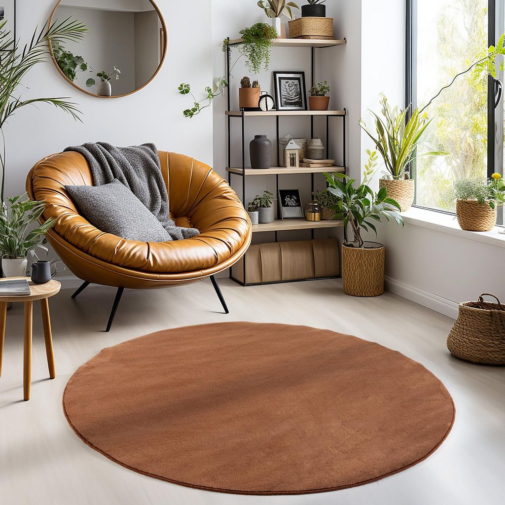 A cozy living room corner with a round brown rug, a tan leather armchair, and shelves filled with plants and decor.
