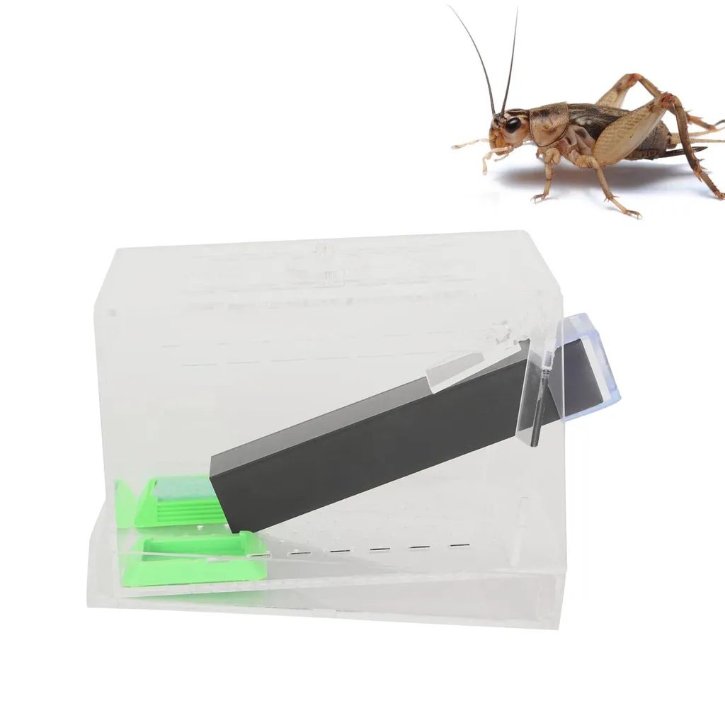 Kit élevage de grillons Acrylique Cricket Keeper avec tubes de 15cm