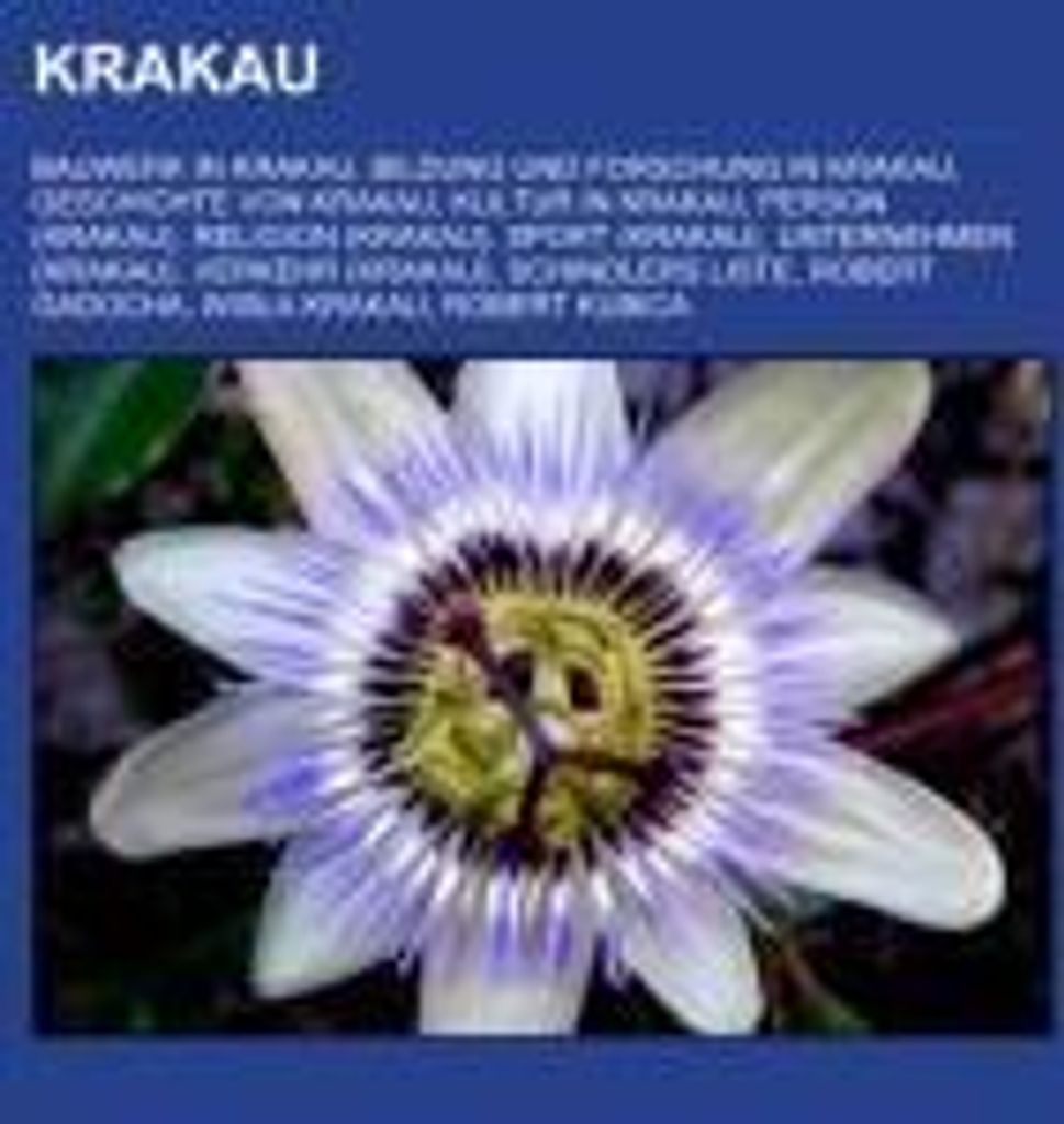 Krakau