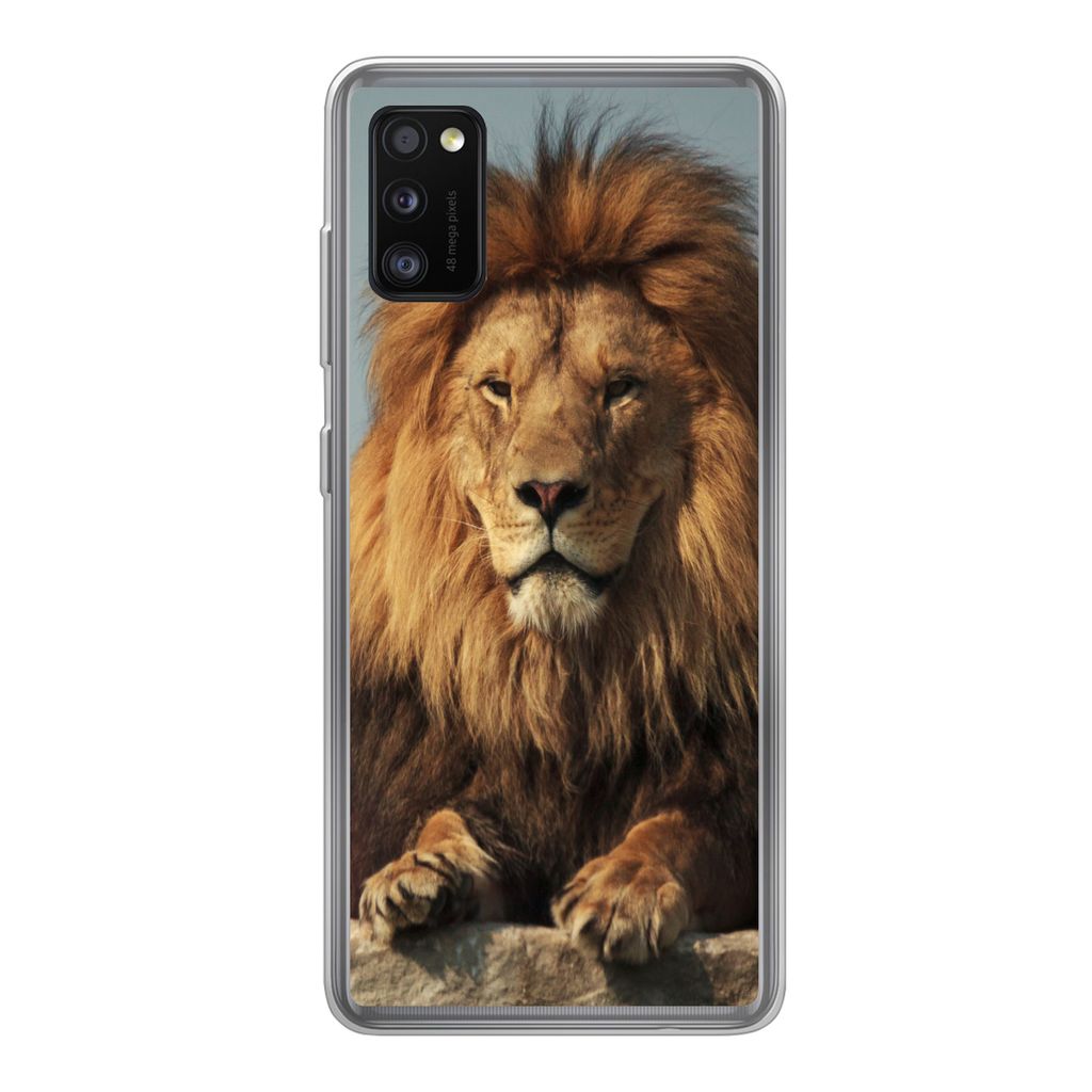 MuchoWow Handyhülle Schutzhülle Hülle für Samsung Galaxy A41 Löwe - Felsen - Porträt Silikon Softcase Handy Hülle - Mobiltelefon