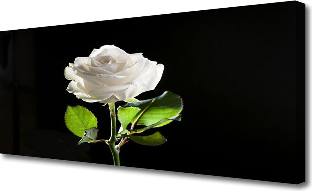 Tulup Leinwand-Bilder 125x50 Wandbild Canvas Kunstdruck Rose Pflanzen