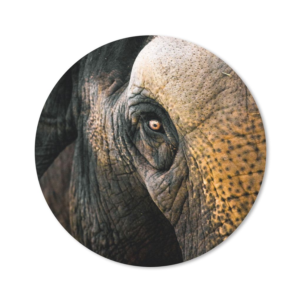 MuchoWow Mauspad Mousepad Elefant - Nahaufnahme - Tiere - Natur 30x30 cm - Mousepads - Maus Mat - Pad - Mausunterlage - Tischunterlage - Schreibt...