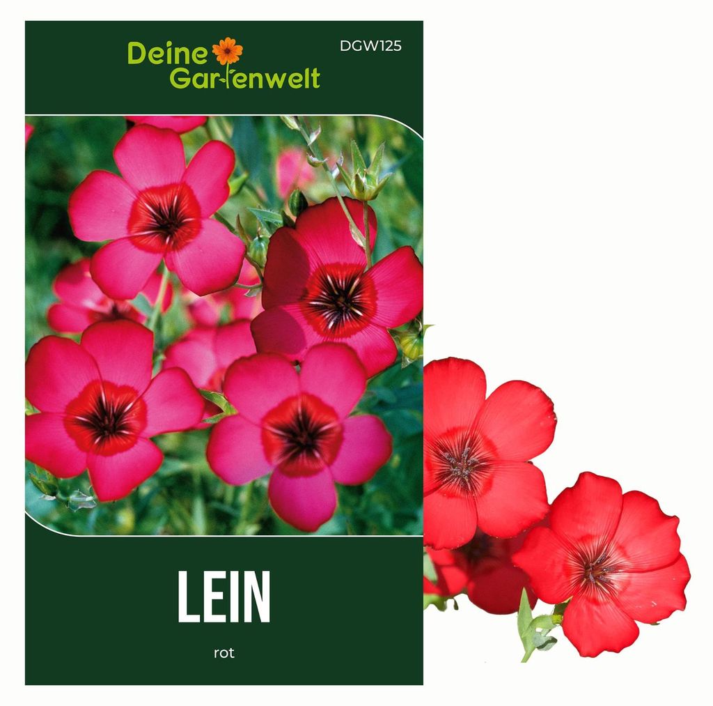 Lein rot Samen - Linum grandiflorum - Leinsamen - Blumensamen - Saatgut für 70 Pflanzen
