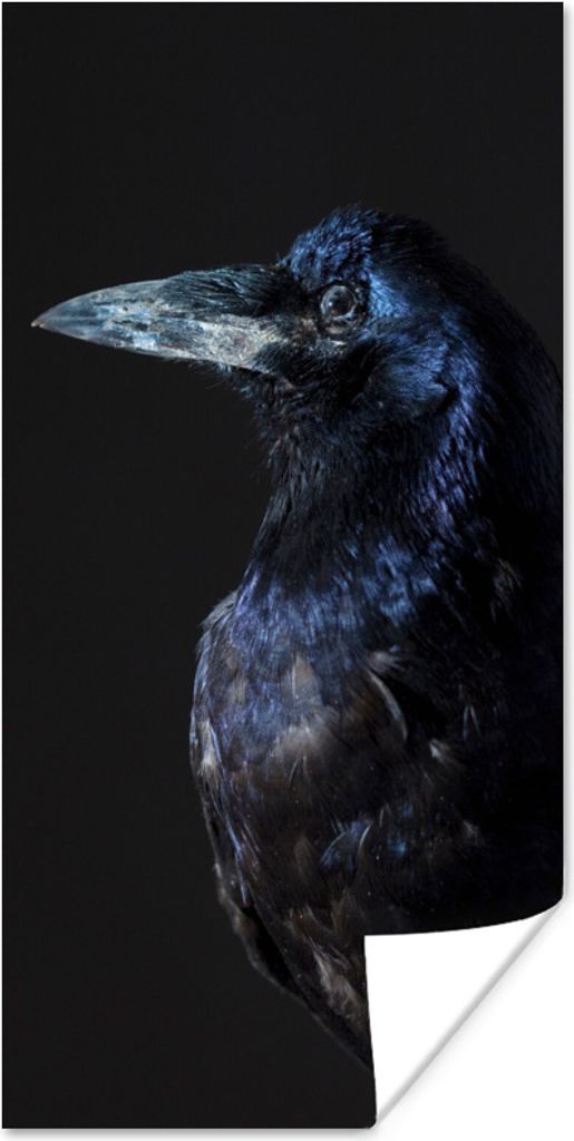 MuchoWow Poster Vogel - Tiere - Schwarz 75x150 cm - Dekoration für die Wände