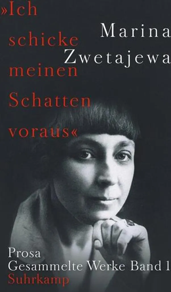 Livre de poche Ich schicke meinen Schatten voraus pour lecture détente