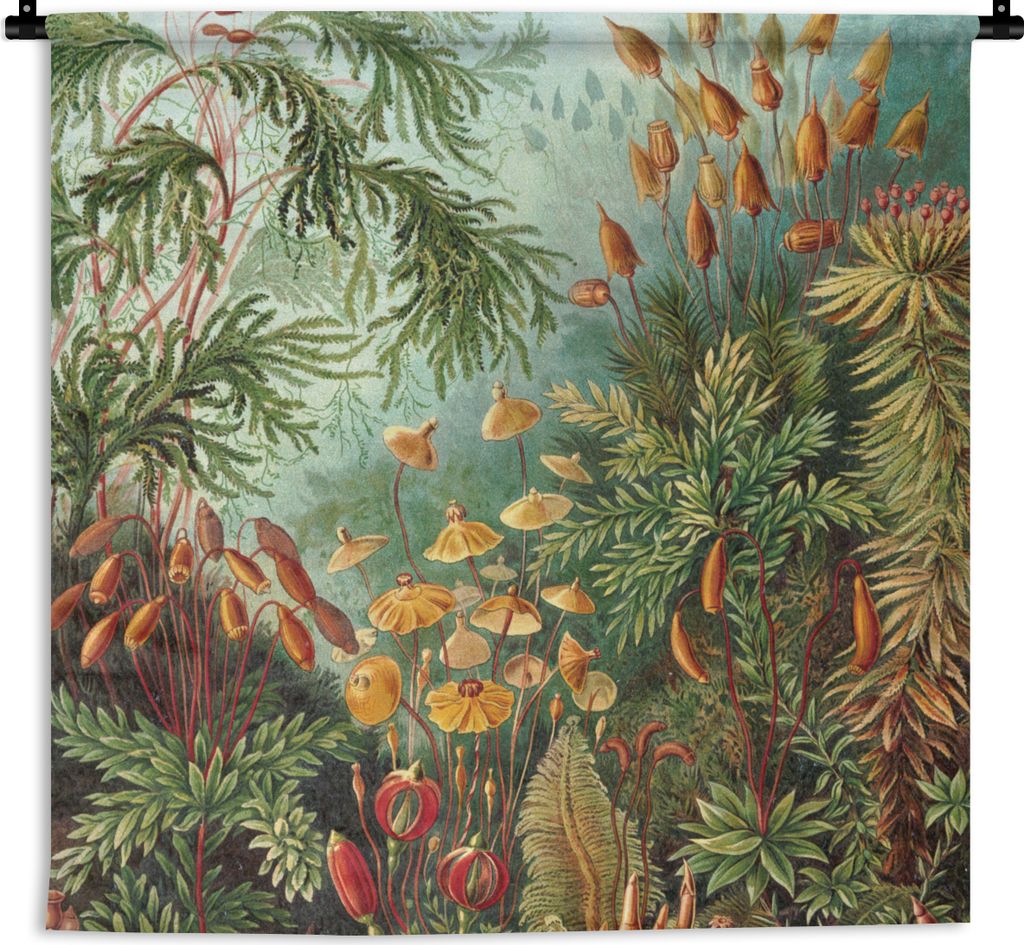 MuchoWow Wandteppich Wandbehang Alte Meister - Kunst - Muscinae - Haeckel 60x60 cm Tapisserie Dekoration Wandtuch - Dekorationen - Wand Decke