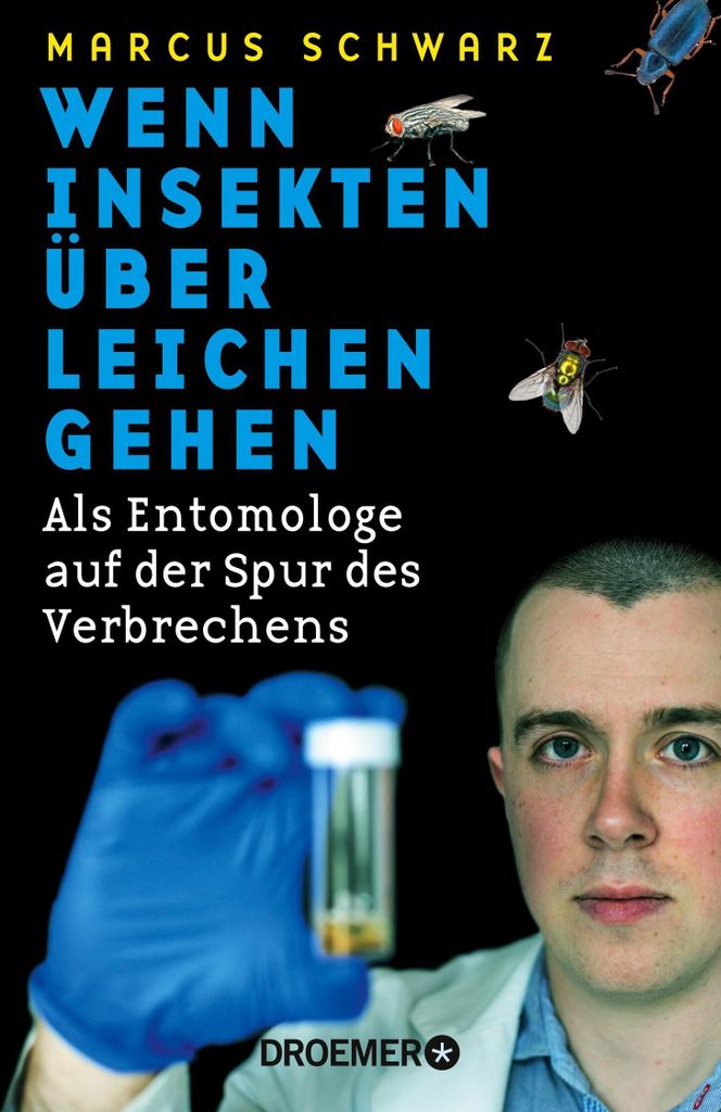 Wenn Insekten über Leichen gehen