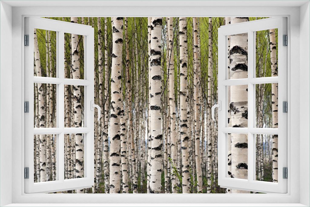 Wallario selbstklebendes Poster mit Fenster-Illusion - Birkenwald - Baumstämme in schwarz weiß, Größe: 61 x 91,50 cm