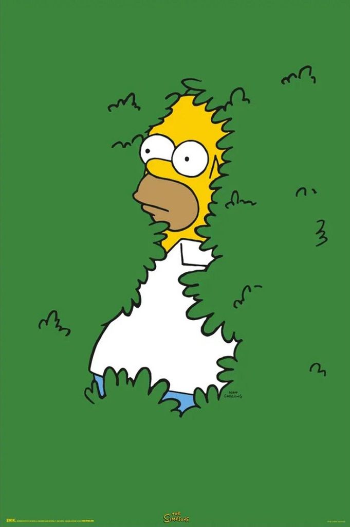 MB 1 - The Simpsons - Homer Bush - Poster 61x91,5 cm