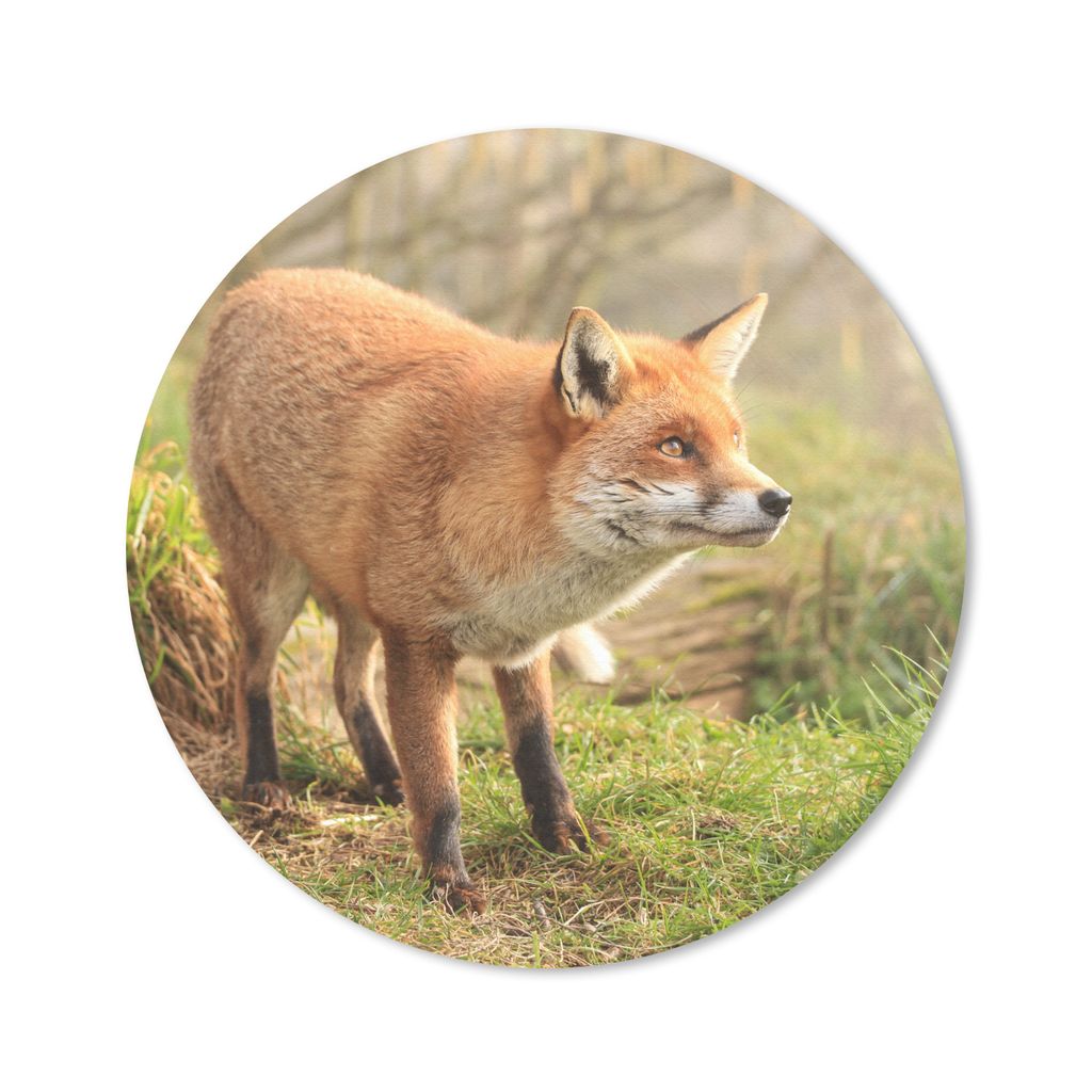 MuchoWow Mauspad Mousepad Fuchs - Wald - Licht 50x50 cm - Mousepads - Maus Mat - Pad - Mausunterlage - Vinyl
