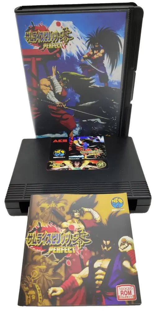 Jeu de Combat Neo Geo AES avec Boîtier - Protégez et Jouez à Deux