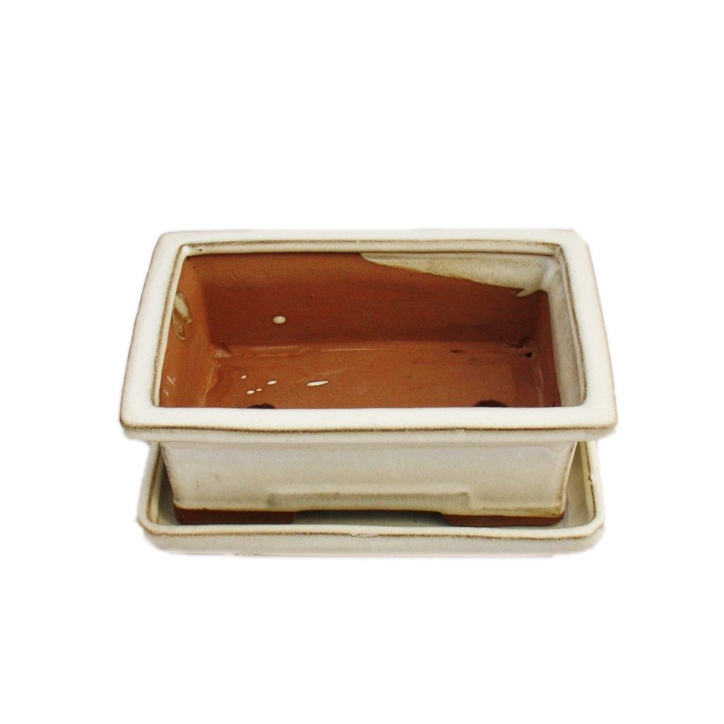 Ciotola Per Bonsai Rettangolare Smaltata Con Piattino - Beige Chiaro - 15,5x12x4,5 Cm - Yixing - 4