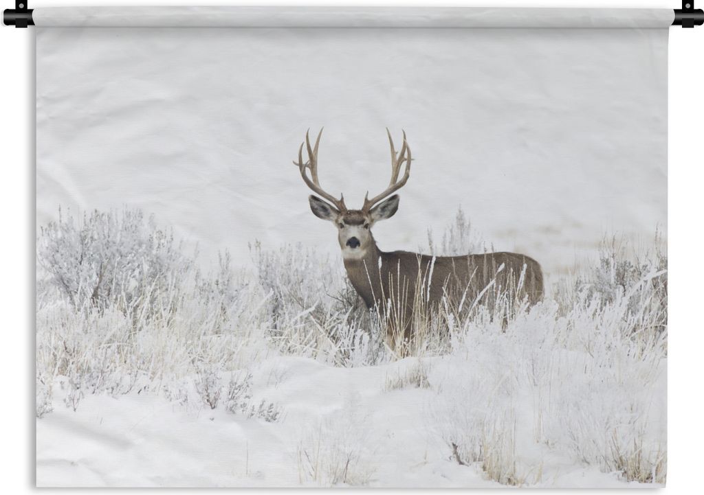 MuchoWow Wandteppich Wandbehang Rotwild - Schnee - Winter 150x112 cm Tapisserie Dekoration Wandtuch - Wanddecke - Wandteppiche