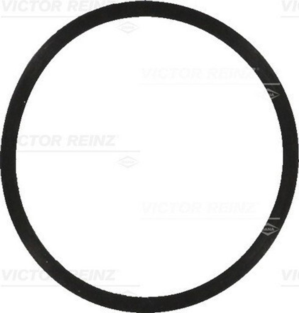 REINZ 40-77570-00 Ansaugkrümmer-Dichtung für VW POLO (9N) Fox Schrägheck (5Z1, 5Z3, 5Z4) für SKODA Fabia II Schrägheck (542) Fabia II Combi (545)