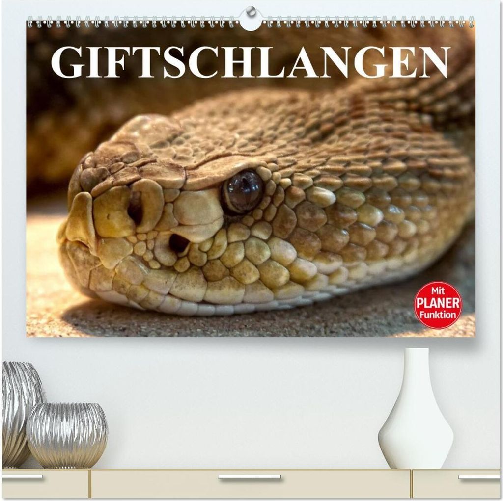 Giftschlangen (hochwertiger Premium Wandkalender 2026 DIN A2 quer), Kunstdruck in Hochglanz